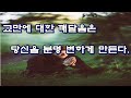 교만에 대한 깨들음은 충격 자체이다.
