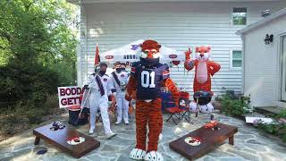 Celebrity Aubie's Tiger Tailgate at Home 2020 (Arkansas) Net Worth