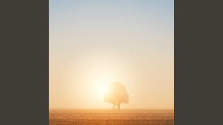 Papi (Bhabi) (Remix)