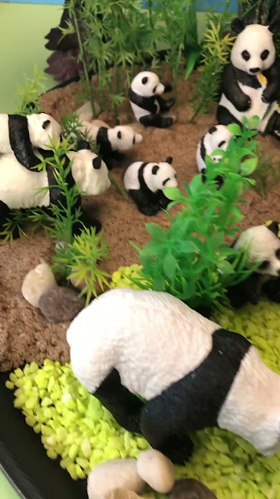 Panda Small World Tray Diorama #diorama #pandas