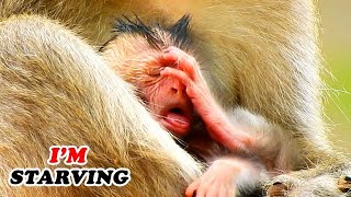 Im Starving .. Where My Milk ?? Newborn Jasper Top Hungry First Milk