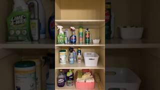 Organizing my cleaning supplies was needed 🙌 #organization #organize #cleantok #clean #cleaning