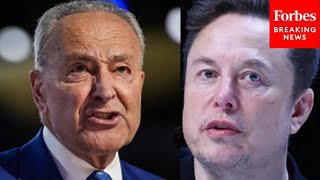 'Republicans Should Listen To Him': Schumer Mocks GOP After Musk Calls Budget An 'Abomination'