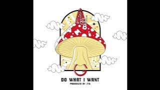 Download lagu Gambit - Do What I Want (prod. ZTK)