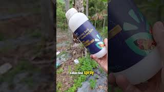 zat aktivator tanaman high score asam amino https://s.shopee.co.id/2qLi2gp9Sm