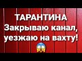 Семья Тарантиных/Обзор.