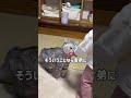 思ったこと全部顔に出る猫#猫 #猫のいる暮らし
