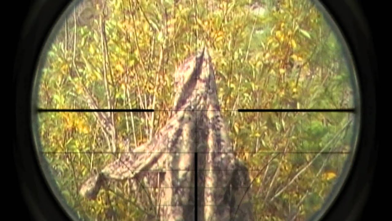 Sniper airsoft scope cam adjustment. YouTube