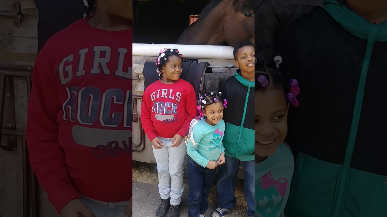 Funny video at Rock Creek Park Horse Staples