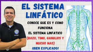 EL SISTEMA LINFATICO: LA LINFA, BAZO, TIMO,  VASOS Y GANGLIOS LINFATICOS. BIEN EXPLICADO