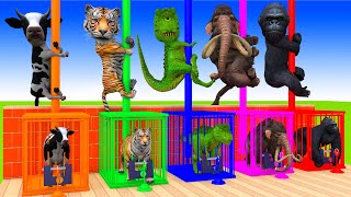 Cow Elephant Tiger Gorilla Dinosaur Guess The Right Key ESCAPE ROOM CHALLENGE Animals Cage Game