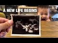 #15【1歳8ヶ月】虎乃介、新しい命と兄になる日。Toranosuke at 1 Year and 8 Months – A New Life Begins.