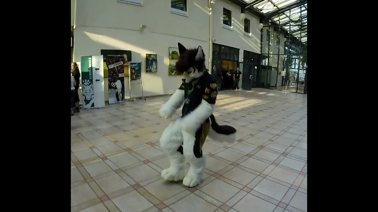 Eurofurence 21 Hallway Dance - YouTube