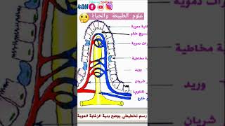 اختبار مقترح للفصل الاول ✅علوم الطبيعة والحياة 👈🏾السنة الرابعة متوسط