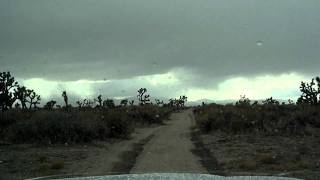 Trophy Truck Tacoma I Cons Mid Travel. Stop Dumping Trash