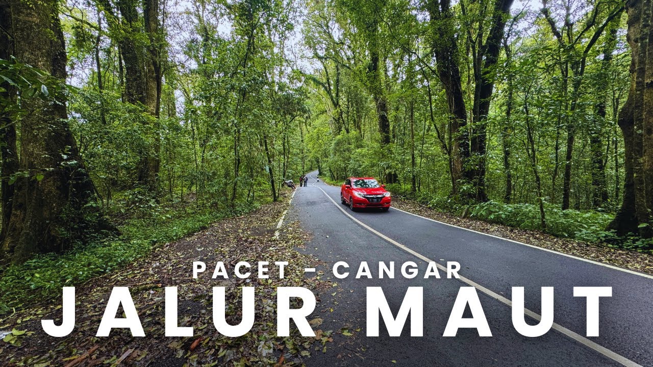 Melintasi Jalur Terkenal Angker Pacet Cangar‼️Ternyata Ini Jalur Kuno Majapahit
