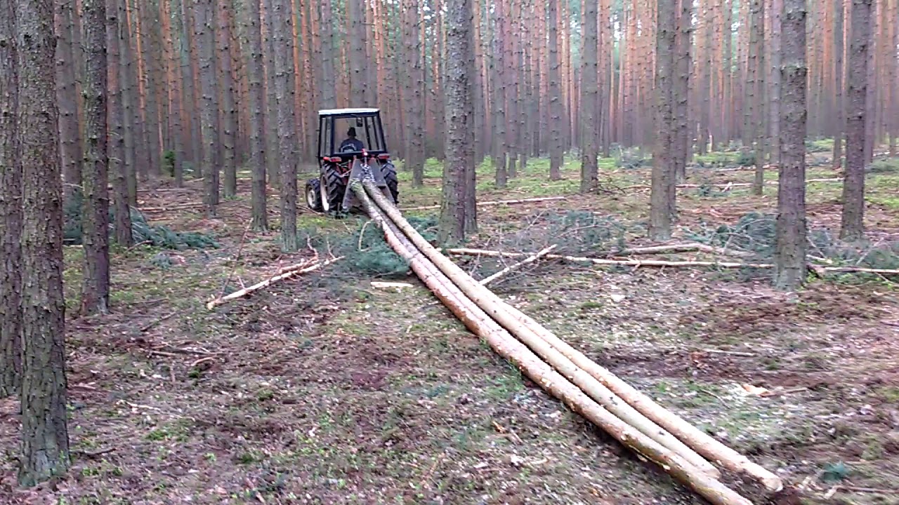 Ciągnik Yanmar w lesie, zrywka drewna