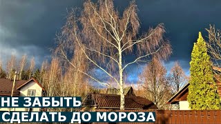 Что обязательно делаем, закрывая дачный сезон