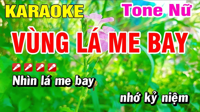 Karaoke Tone Nữ Vùng Lá Me Bay Nhạc Sống | Hoài Phong Organ