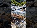 समुद्र का पानी खारा क्यों होता है? 🌊 | Amazing Science Fact #shorts#ytshorts #ytfeeds #sciencefacts