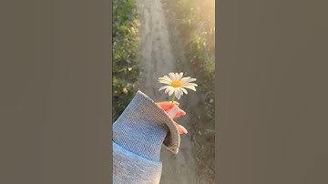 #قرآن كريم اكتب شيء تؤجر عليه اللهم صل وسلم على نبينا محمد وعلى آله وصحبه وسلم تسليما كثيرا ❤️ ♥️ 🌹