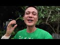 Beginning of video