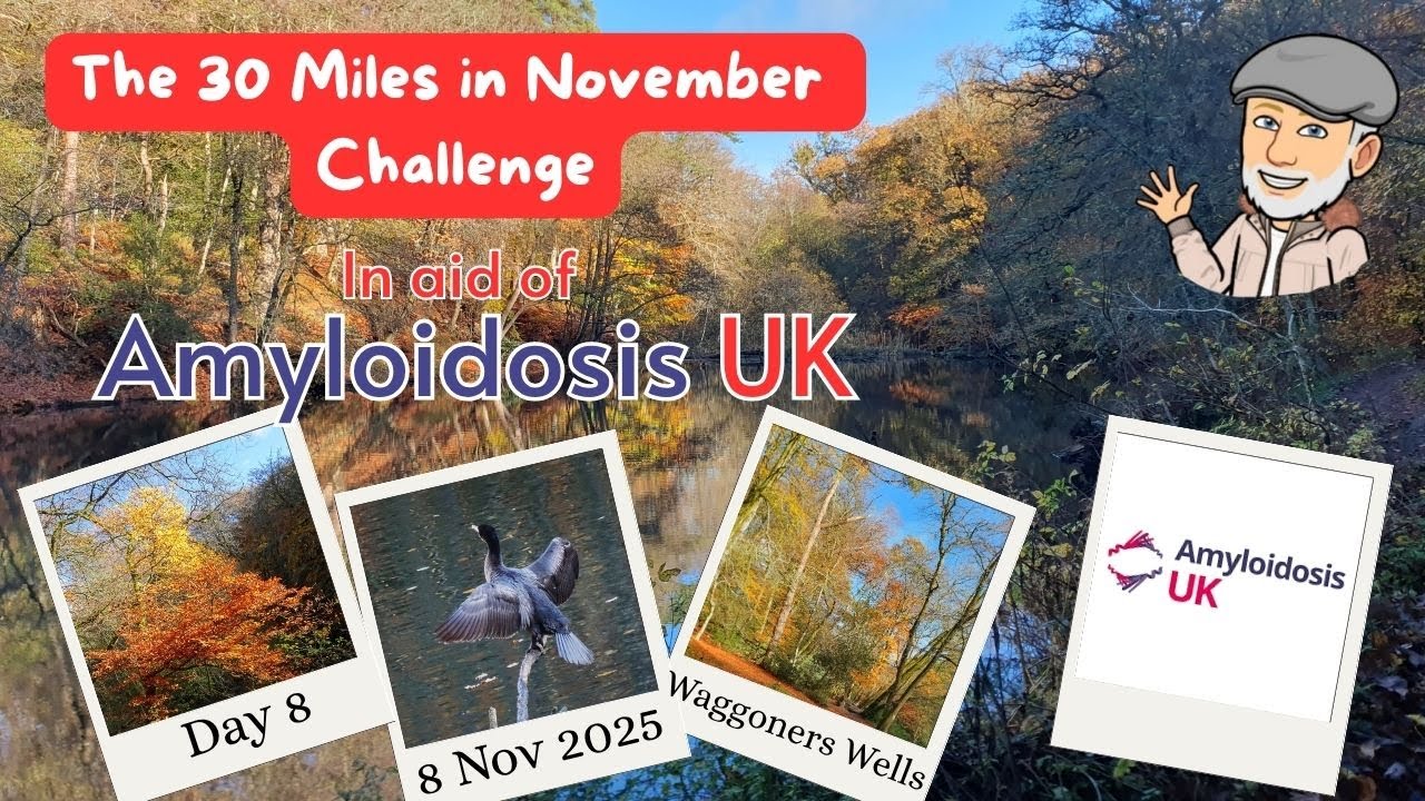 День 8 ноября. Waggoners Wells.