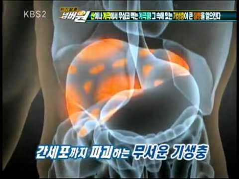 위기탈출 넘버원 Crisis Escape No1 20100405 002