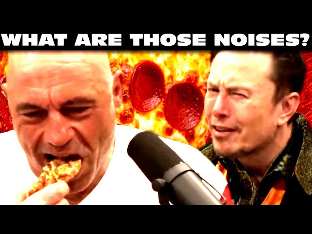 Joe Rogan Destroys A Pizza w/ Elon Musk class=