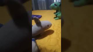 no le apage ala estufa