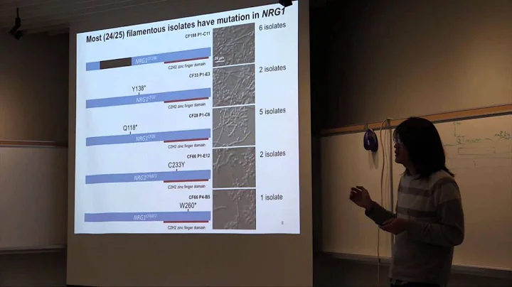 David Kim - TorBUG Talk - Nov 26 2014