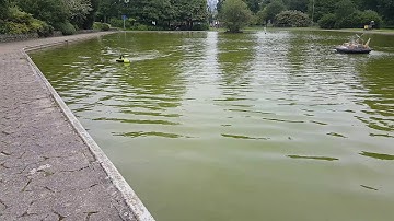 a Palaform Fusion 400 performing well