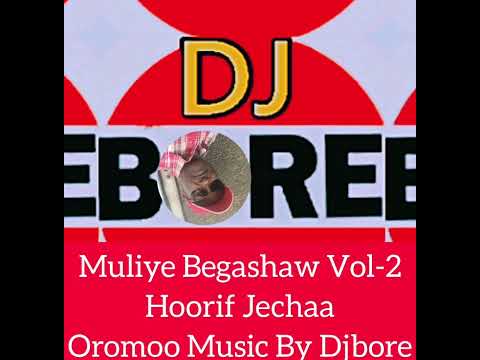 Muliye Begashaw Vol 2 Hoorif Jechaa Oromoo Music By Djbore