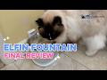 Hydrate Your Pets! Elfin Fountain Review! 💧🐶😺🌿