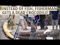 Crocodile Unexpectedly Dies in Fisherman&#39;s Fish Trap | Trans 7 Global (23/11/23)