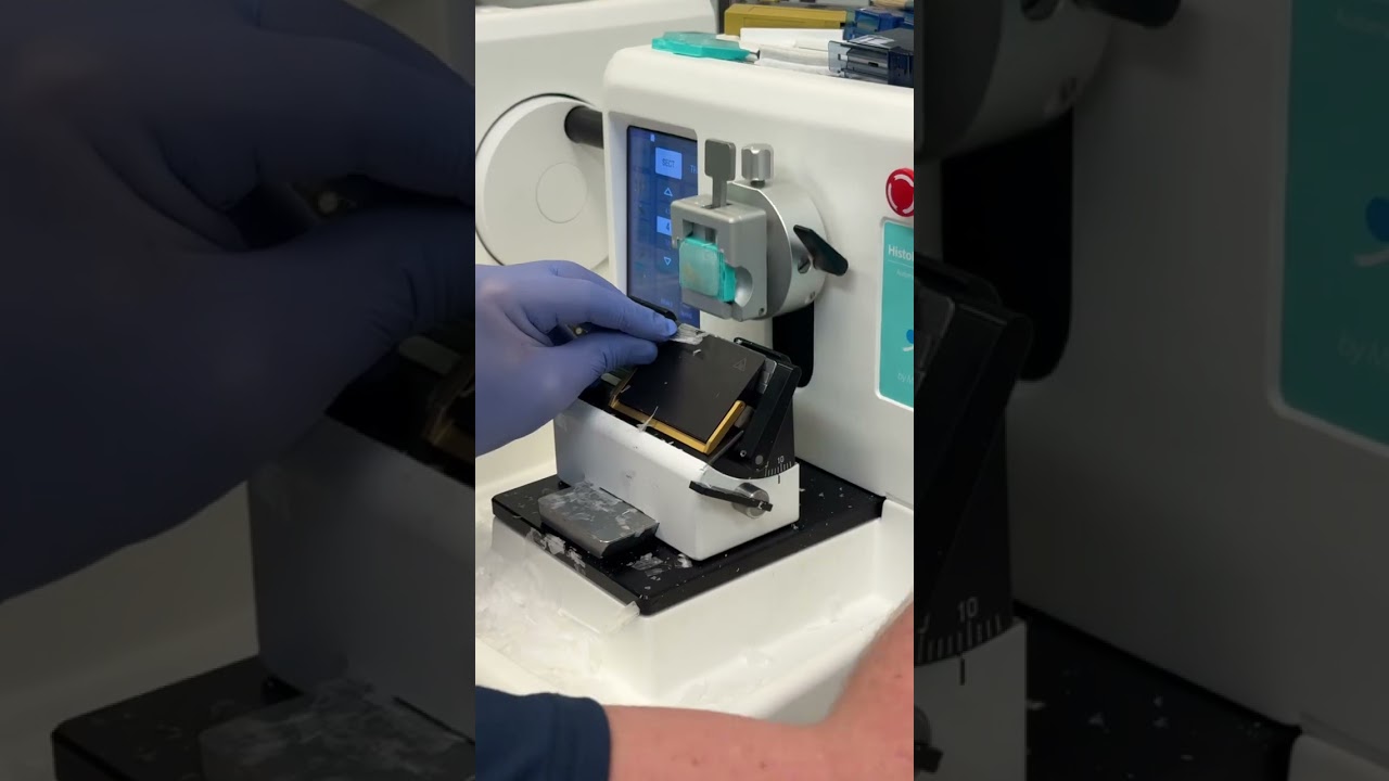 Processing Intestine: Embedding & Cutting Steps - Histology Lab Processing