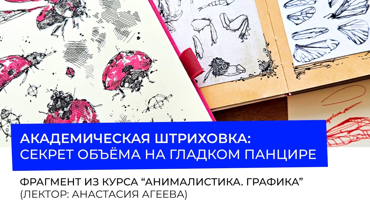 Академическая штриховка: секрет объёма на гладком панцире. Лайфхак от Агеевой Анастасии