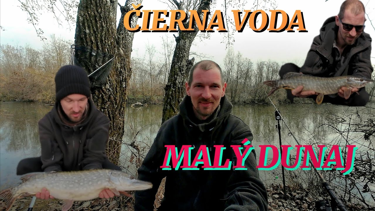 Lov Šťuky na živú rybku /Lov na Rieke Čierna Voda a Malý Dunaj + nový osobák /marec 2025 #pike #dji