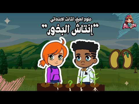 انتاش البذور علوم الصف الثالث اكتشف دورة حياة النبات من البذور إلى النمو