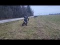 ycf 125cc bigy покатушки с сыном