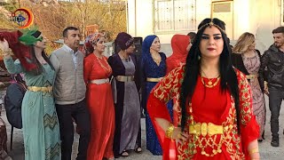 Kürt Düğünleri _ Hakkari Halay (الأعراس الكردية) Govend 2022