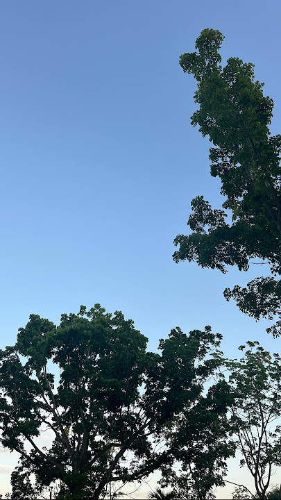 Langit biru yang cerah #remix #music #dj #dumairiau