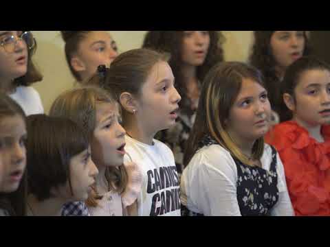 სიმღერის აკადემია / song academy