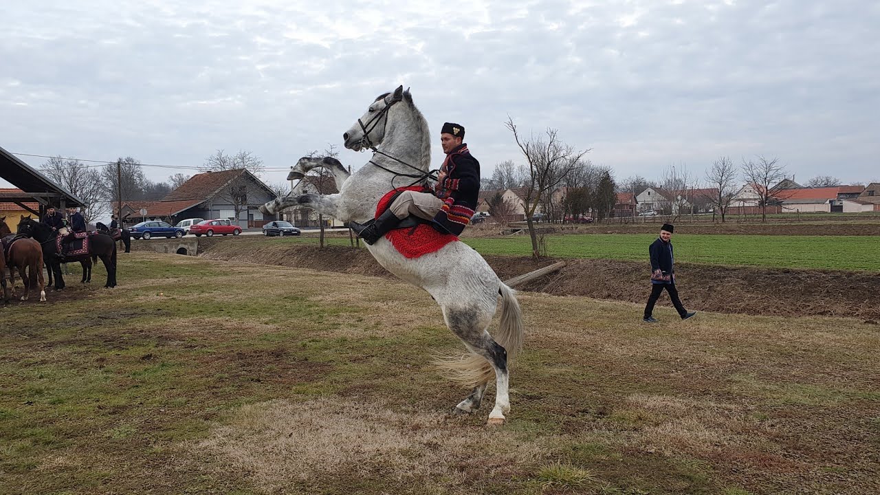 RETKOVCI 8.POKLADNO JAHANJE