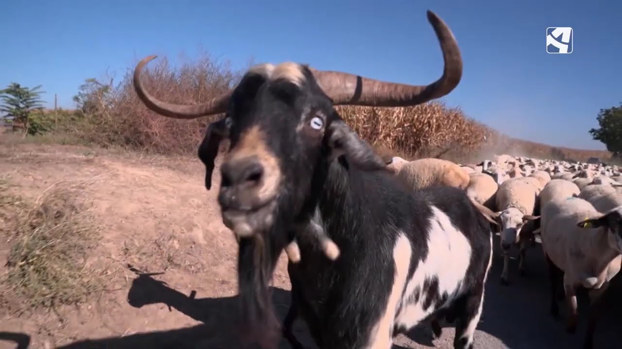 El importante mensaje de Judit a los agricultores