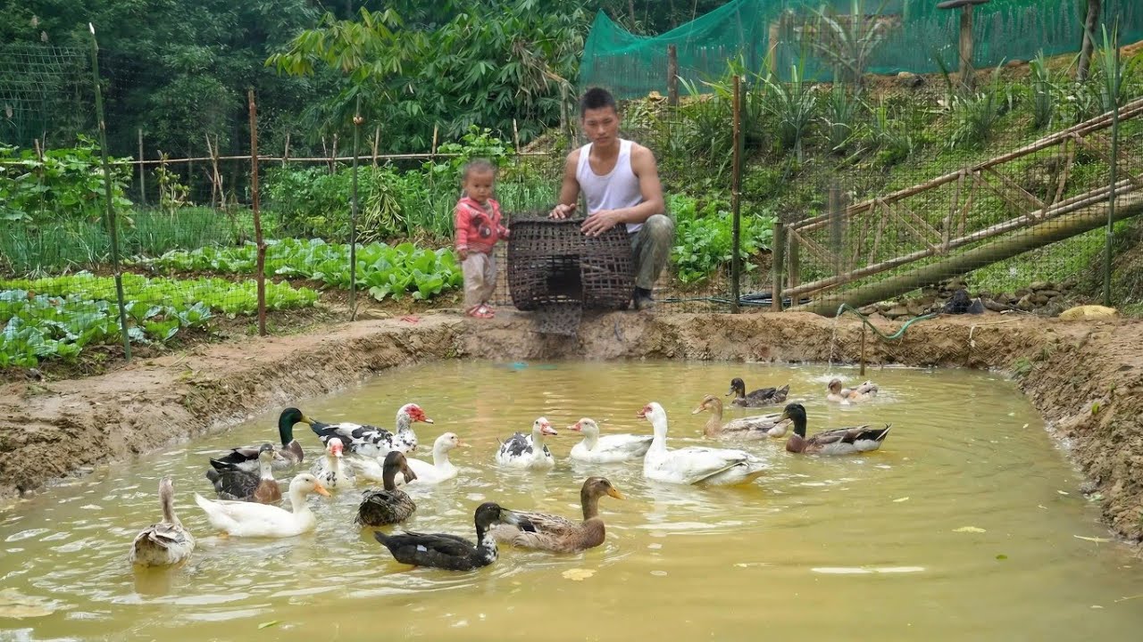 A New Beginning | Nick and the Child Start Raising Animals to Improve Their Lives "rebuilt by nick"