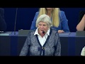 Ann widdecombe explodes at mep sophia in t veld who said majority of brits dont support brexit