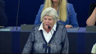 Ann Widdecombe explodes at MEP Sophia in 't Veld, who said majority of Brits don't support #Brexit