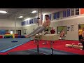 Tyler schmidt  pommel horse skill progression