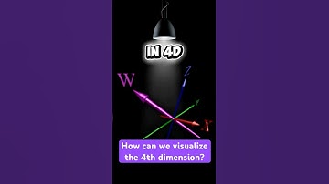 How can we visualize the 4th dimension❓